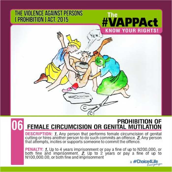 female genital nullification