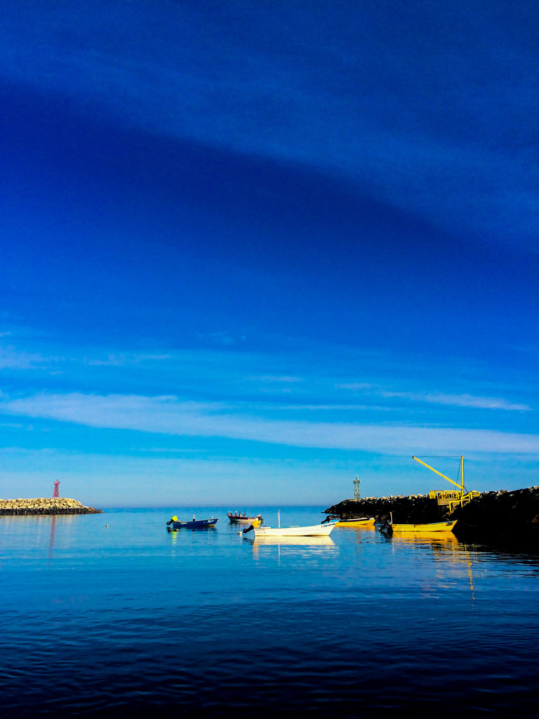 Pangas anchored in the harbor at the only town on Cedros Island.