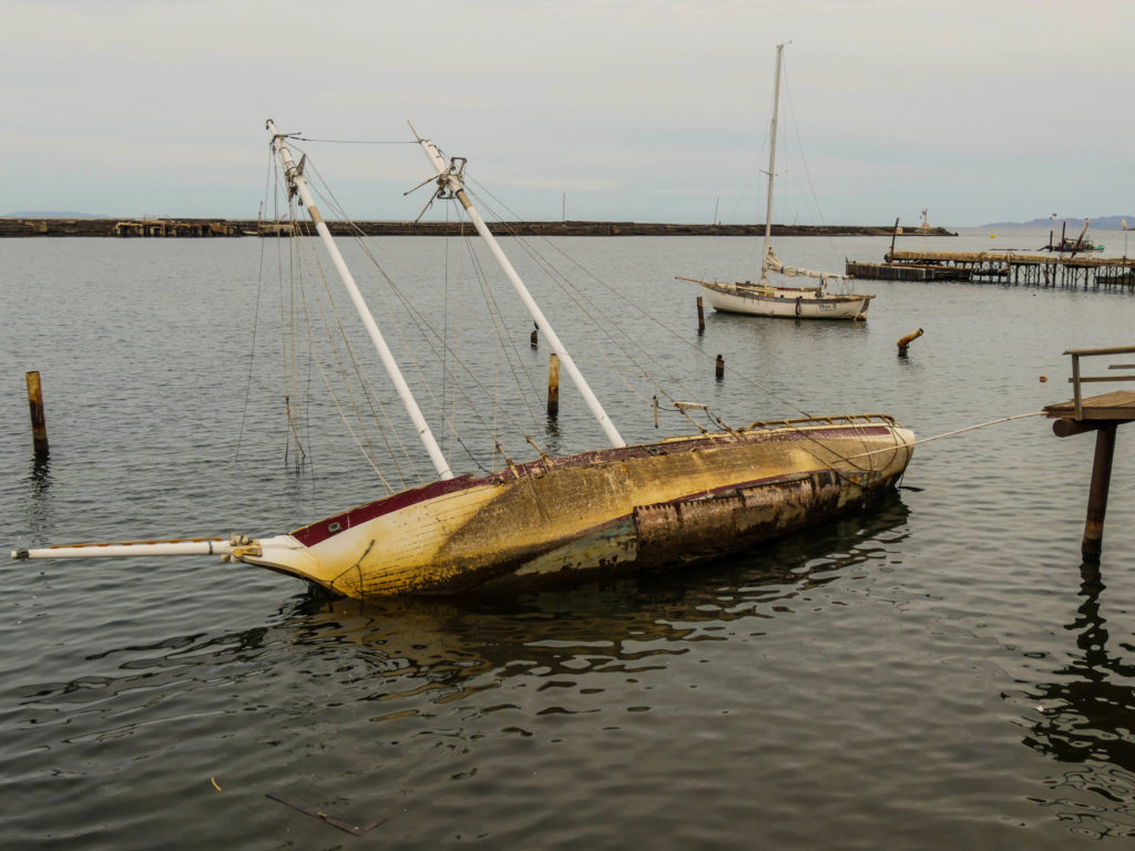 The docks of the local Santa Rosalía Marina are gone; all that remains are the sad shipwrecks lining the harbor, gathering barnacles.