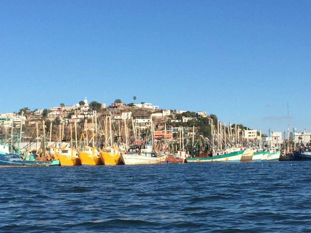 Shrimp boats, bows high and proud, line the waterline near the fuel dock at Topolobampo—a town that somehow mixes an industrial port with shrimping and pangueros for an authentic, charming vibe.