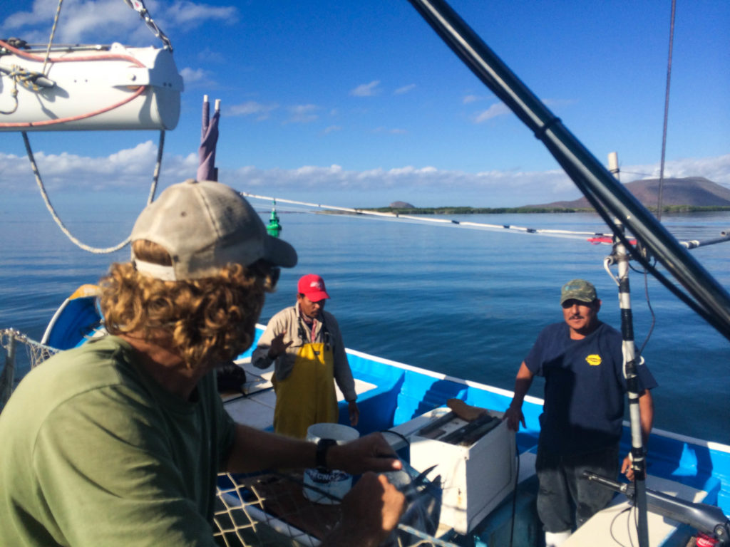 Callo and Antonio pull alongside as we motor. I took these two photos with Josh’s phone while navigating the channel at the wheel.