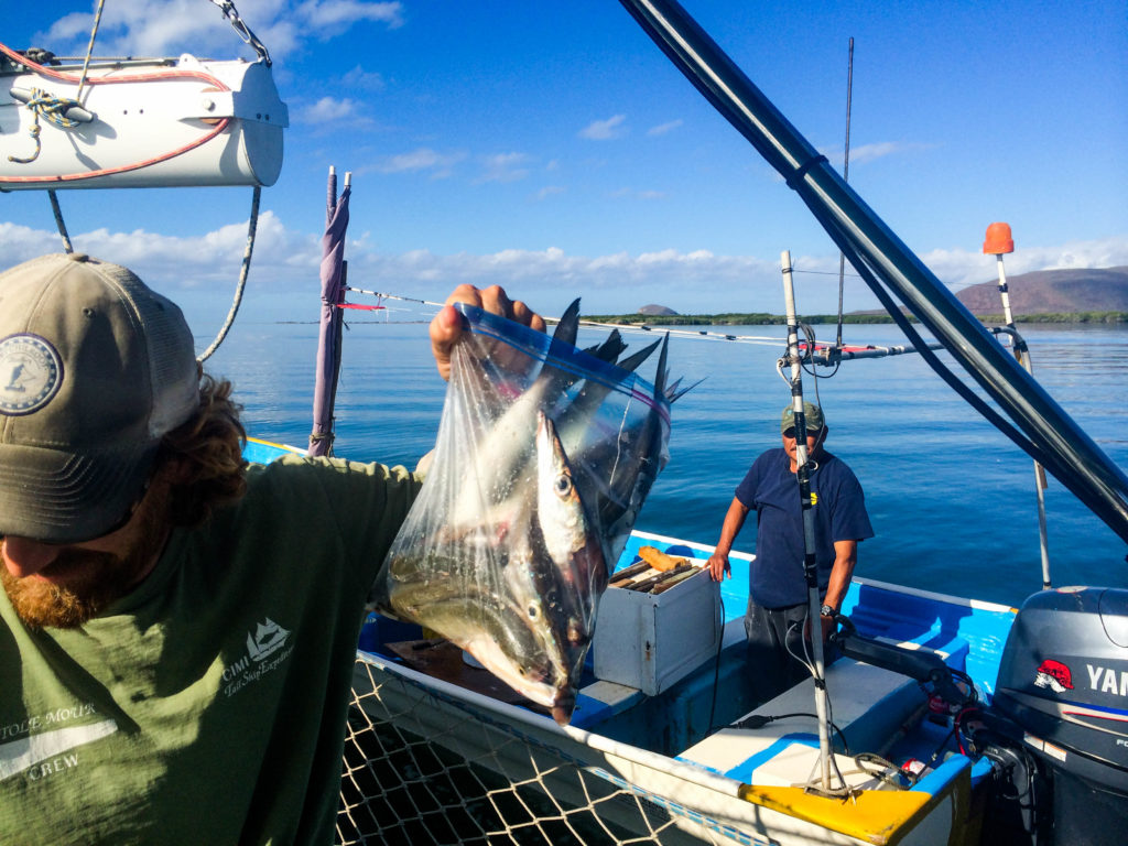 The prized birthday barracuda.