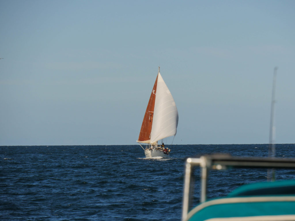 Underway to Altata, Prism flying dead downwind ‘wing-on-wing,’ with the main and the jib on opposite sides of the boat. It’s a beautiful sail position but requires a watchful eye, as a slight change in direction can backfill the main and cause it to jibe (swing to the other side of the boat) violently.
