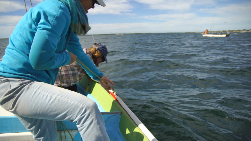 Hauling up the line while Shannon keeps an eye on the water for the net. Photo from video by Jon Neely.