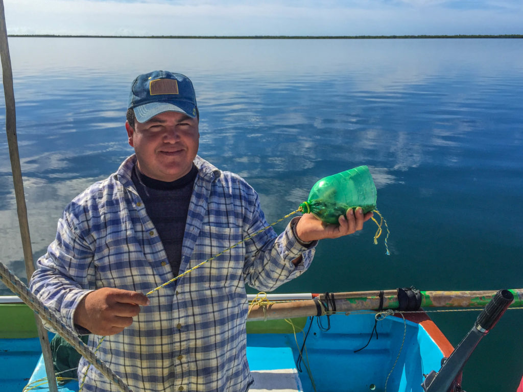 Alfonso shows us one of the weights, cleverly protected by a plastic bottle, that keeps his nets open and moving smoothly on the bottom.