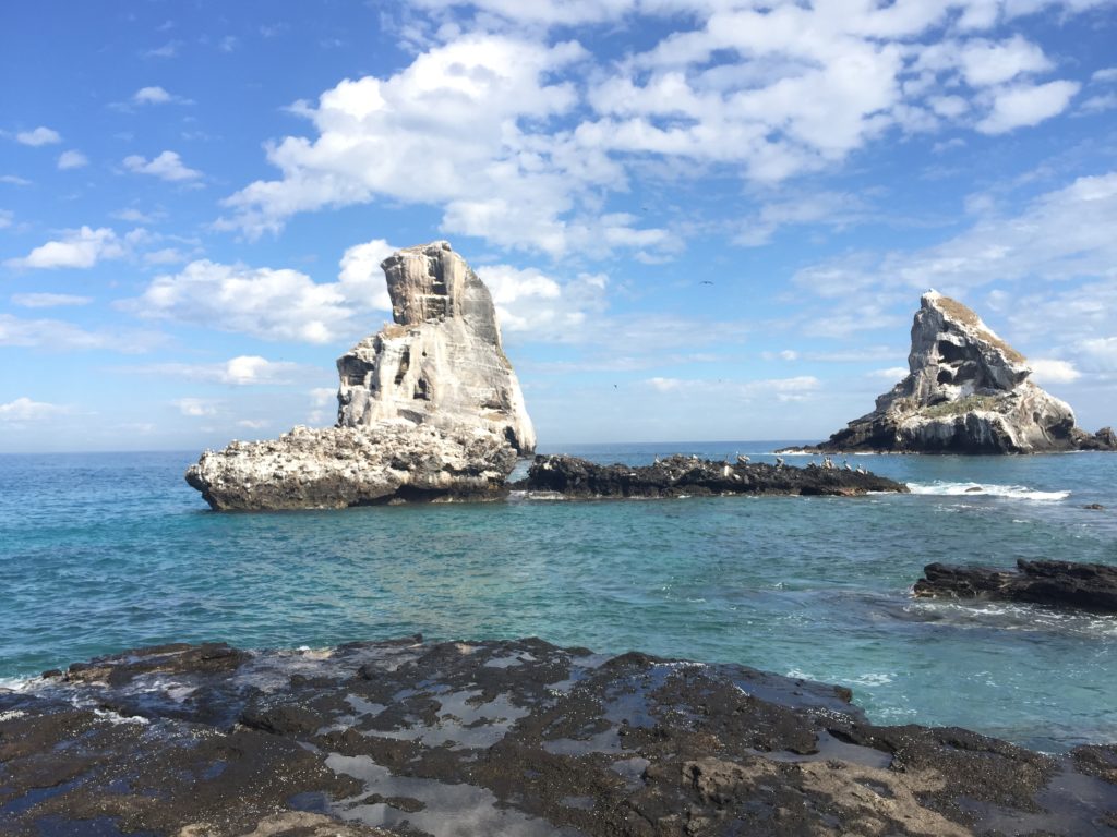 That’s a lot of poop: all of the whiteness of these rocks comes from bird whitewash.