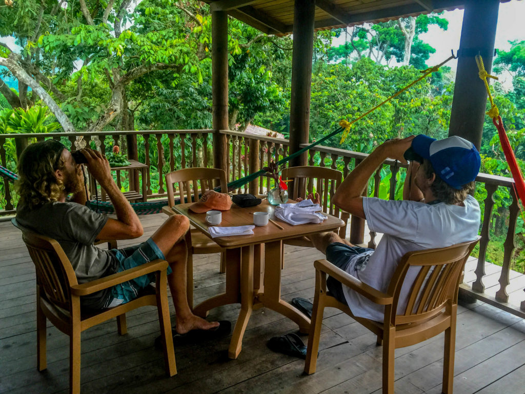 Josh and Jon peer into the jungle canopy in Chiapas.