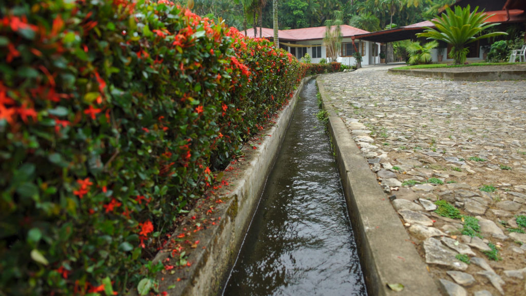 Water sluices through the top of the property before a rapid downhill decent to a turbine used to power the buildings and machines of the finca.