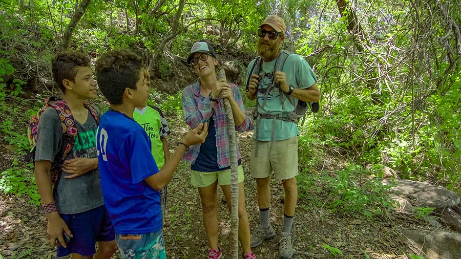 Our unexpected hiking companions. Photo by SV Prism.