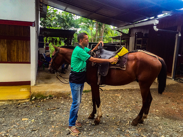 Alonso’s family has owned a ranch near the popular tourism destination of Quepos for multiple generations. However, for fifteen years he has lead horseback tours of the surrounding rainforest. He convinced us to eat termites and sample the local vegetation. The quality of guiding and service in Costa Rica is unparalleled, and guides seem to genuinely enjoy their role introducing tourists to their country’s landscape.