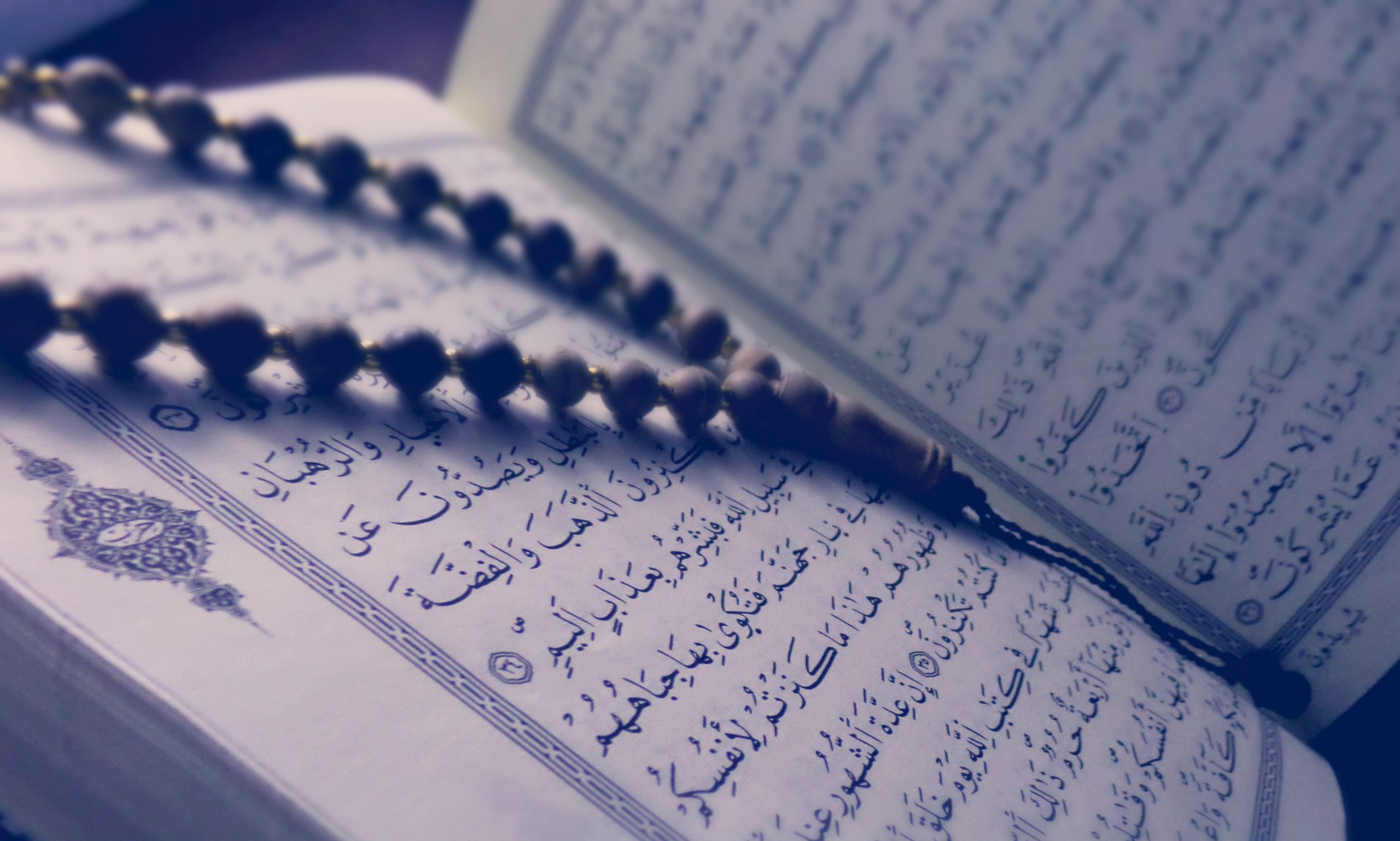 The Atlantic: Karina Piser on French call to change the Quran