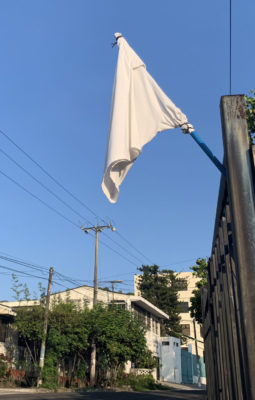 Pandemic exposes divisions in El Salvador