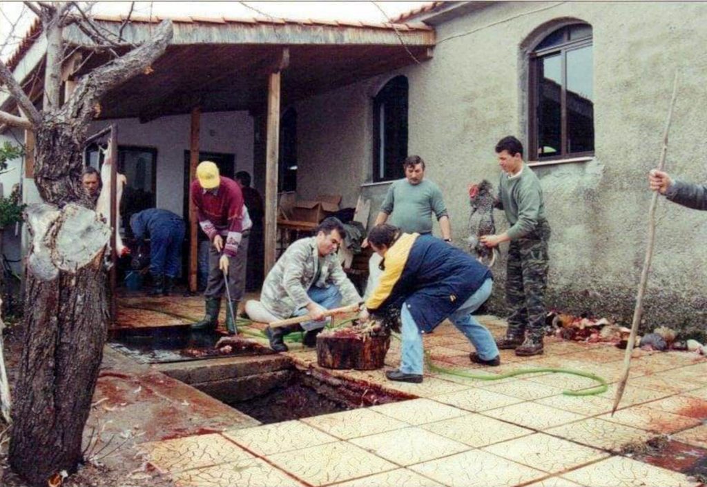 Sacrifices in the Greek village of Dadia for the feast day of Agios Athanasios