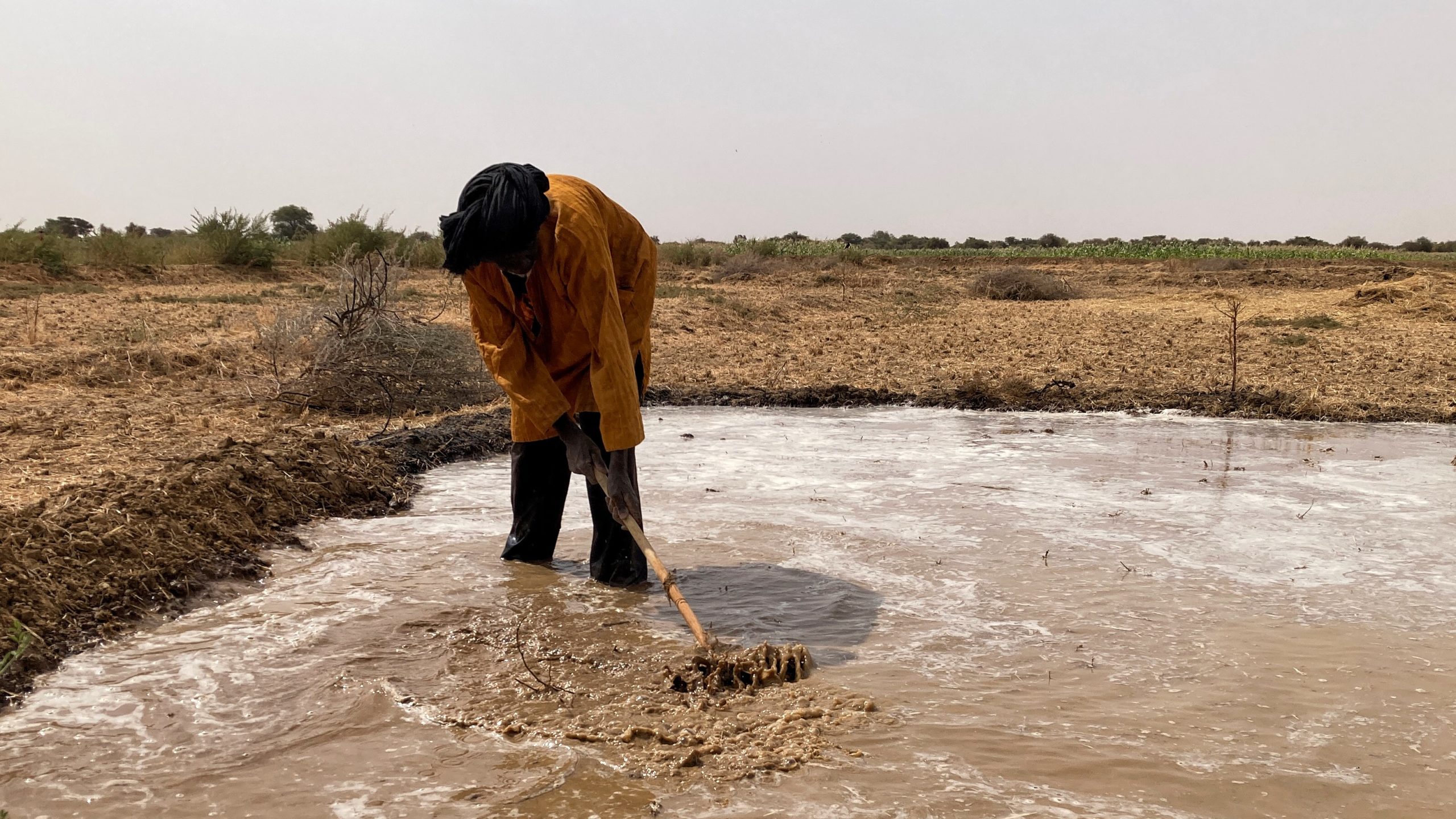 Droughts, dams and the unfulfilled promise of food security in West Africa’s Futa Toro region