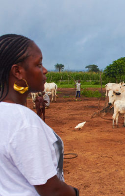 In Ghana, a celebrity chef spotlights Fulani culture