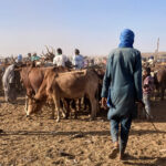 Video: West Africa's Fulani, James Courtright fellowship report