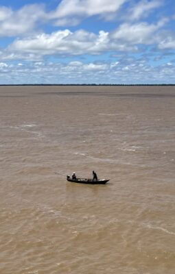 Up the Amazon River