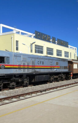 Can an African critical minerals megaproject benefit Africans?
